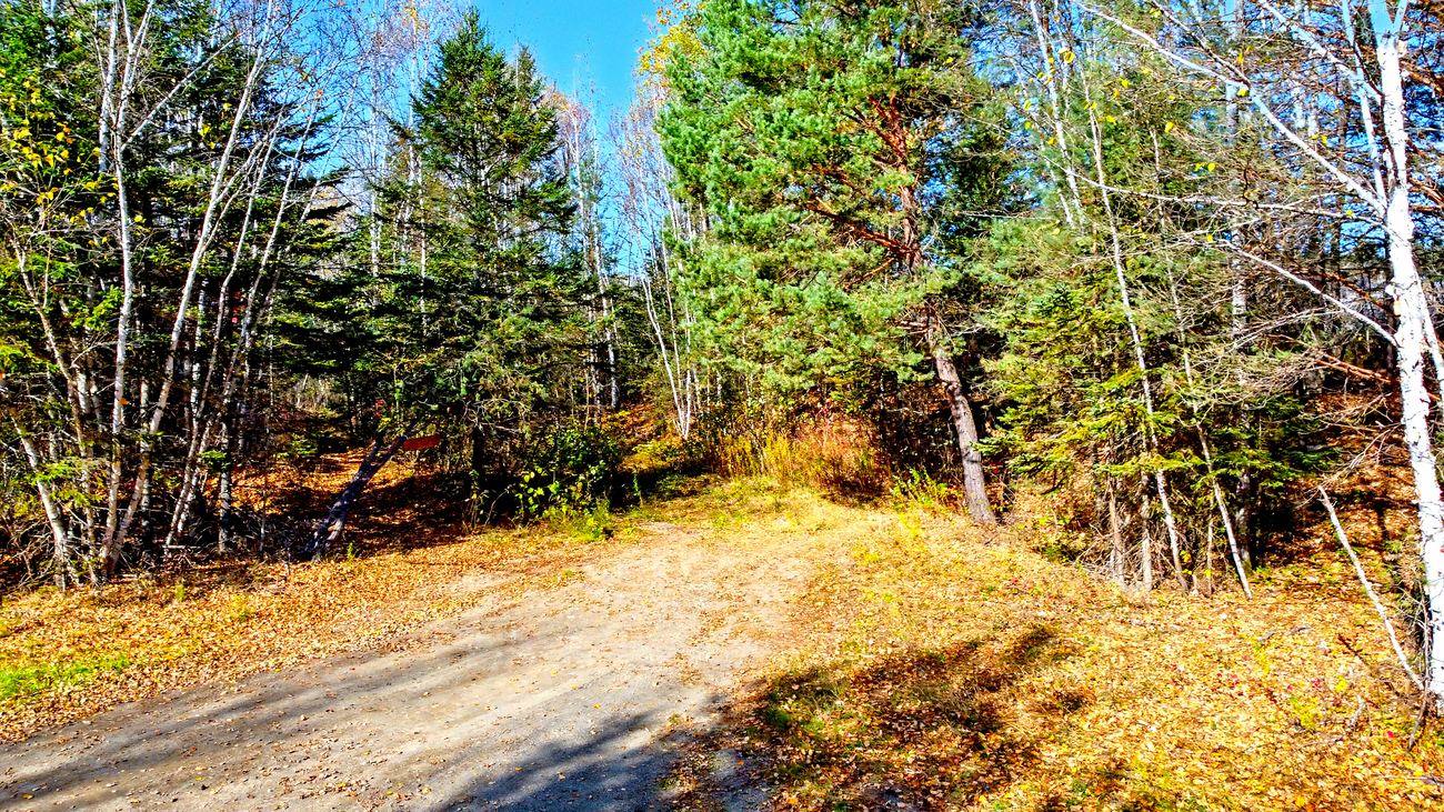 Rue des Pins O., Rivière-Bleue — Terrain à vendre